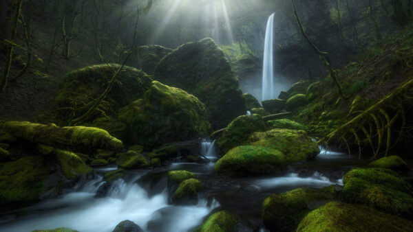 Wallpaper Desktop, Nature, Stream, Oregon, Moss, Greenery, Waterfall
