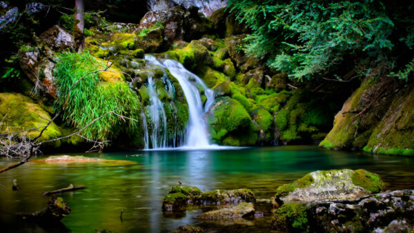 Wallpaper With, Green, Waterfall, Desktop, Rocks, Trees, Mobile, Landscape, Covered, Nature, Between