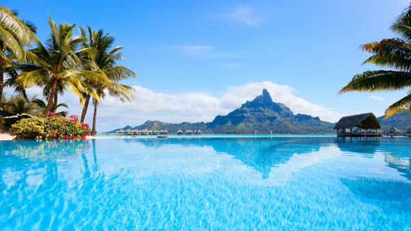 Wallpaper Resort, Palm, With, Sea, Trees, Nature, Landscape, Bora, Desktop, Polynesia, Island