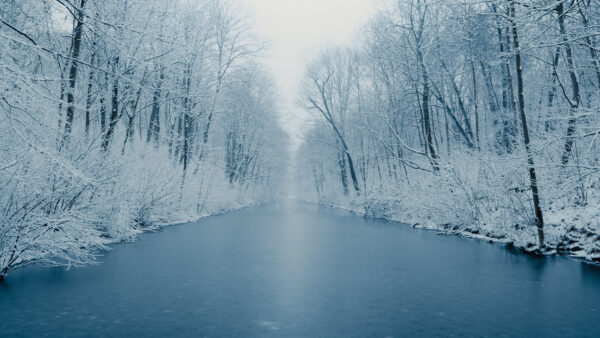 Wallpaper Snow, Desktop, River, Mobile, Between, Covered, Trees, Forest, Nature