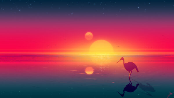 Wallpaper Background, Art, Desktop, Digital, Flamingo, Vaporwave, Sun