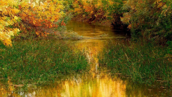 Wallpaper River, During, Desktop, Nature, Autumn, Peaceful