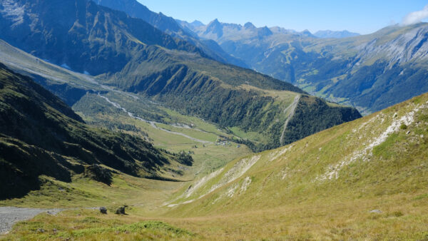 Wallpaper Trees, Mountains, View, Landscape, Mobile, Hills, Desktop, Nature