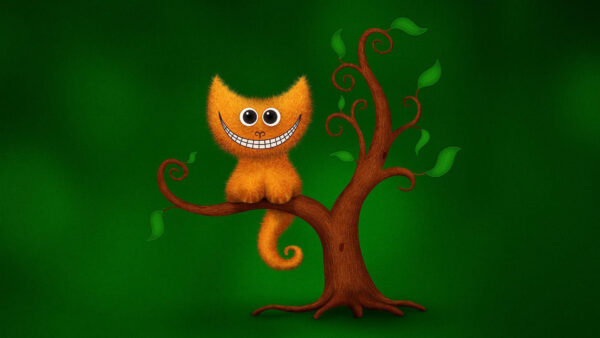 Wallpaper Cat, Desktop, Funny, Cartoon