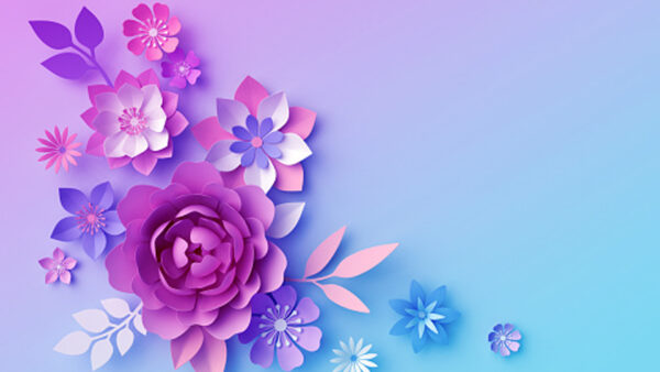 Wallpaper Petals, Blue, Light, Purple, Background, Flowers, Pink