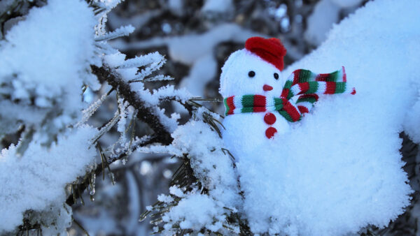 Wallpaper Snowman, White, Christmas, Desktop