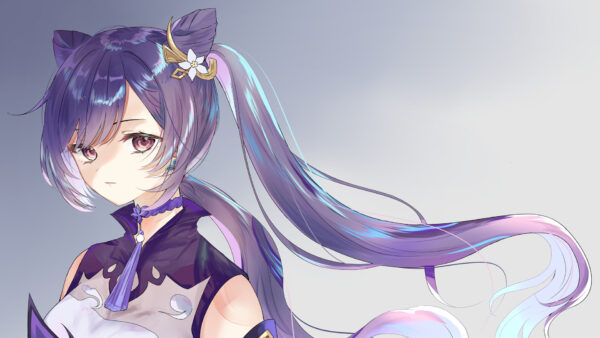 Wallpaper Hair, Impact, Genshin, Keqing, Purple