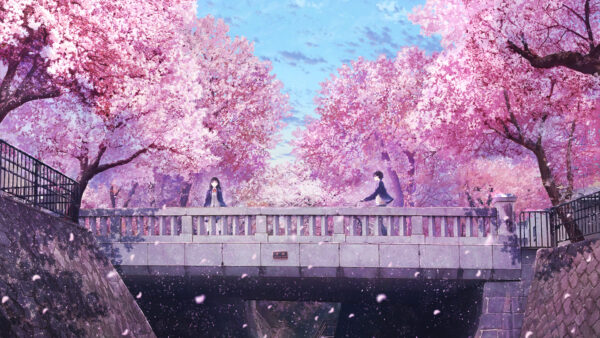 Wallpaper Anime, Girl, Sakura, Boy, Flower, Love