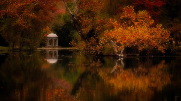 Wallpaper And, Pond, Trees, Nature, Park, Desktop, Gazebo, During, Fall