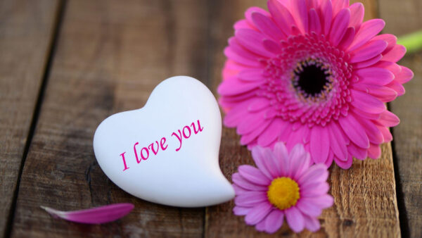 Wallpaper Desktop, White, You, Heart, Flowers, And, Text, Love, Pink