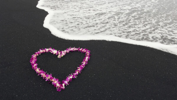 Wallpaper Flowers, Love, Beach, Sand, Purple, White, Heart, Shape