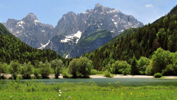 Wallpaper Scenery, Calm, Grass, Trees, And, Body, Peak, Green, Nature, Water, Mountains, Between, Field, Background