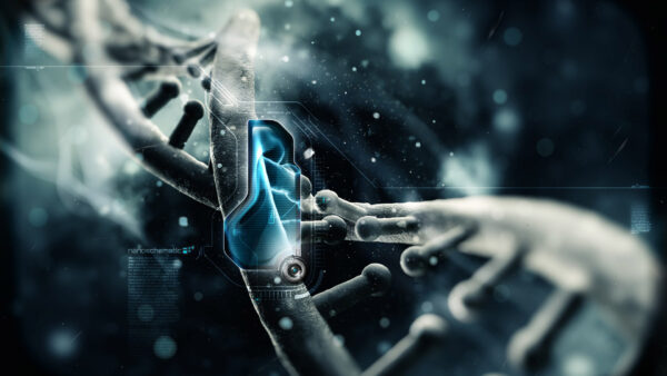 Wallpaper DNA, Cool