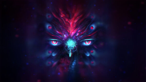 Wallpaper Animal, Eyes, Bird, Black, Dark, Theme, Background, Trippy