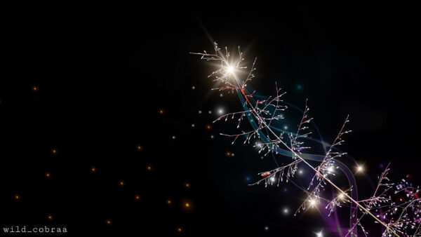 Wallpaper Tree, Christmas, Art