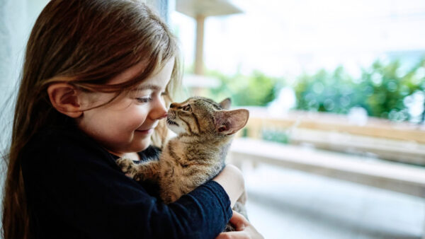 Wallpaper Dress, Wearing, With, Black, Little, Girl, Kitten, Cute