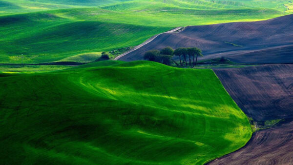 Wallpaper Land, And, Black, Slope, Greenery, Sand, Aerial, Mountain, View, Beautiful