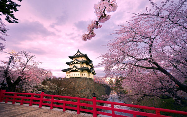 Wallpaper Japan, Hirosaki, Castle