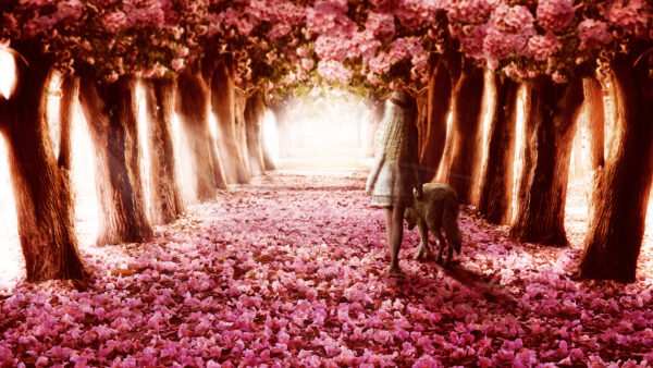 Wallpaper Path, Flower