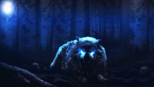 Wallpaper Scary, Wolf
