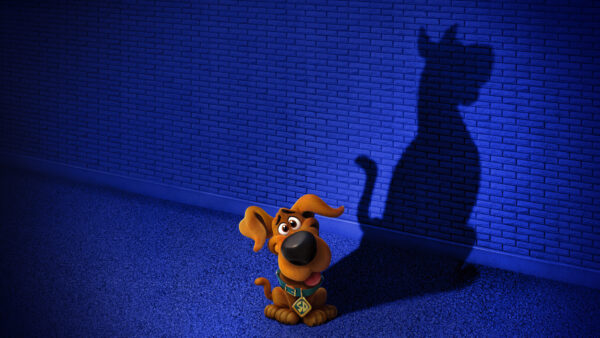 Wallpaper Scooby-Doo, 2020, SCOOB