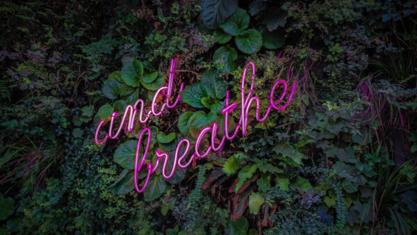 Wallpaper Sign, Breathe, Neon