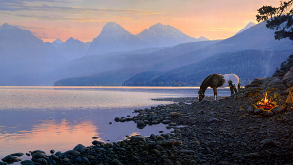 Wallpaper Animals, Horse, Pebbles, During, Sunset, Lake, Desktop, Near