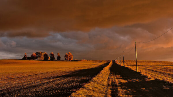 Wallpaper Field, Between, Sky, Pathway, Mobile, Desktop, Under, Cloudy, Nature