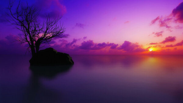 Wallpaper Background, With, Cloudy, Tree, Rock, Purple, Beautiful, Sky, Sunset, Desktop, Lake, And