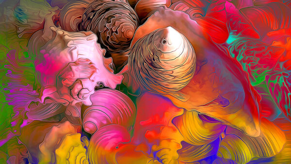 Wallpaper Shells, Colorful, Abstract, Desktop, Red, Pink, Art, Blue