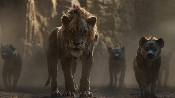 Wallpaper The, Scar, Lion, Desktop, King