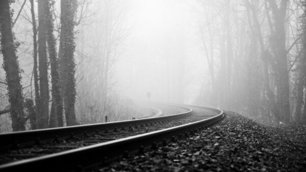 Wallpaper Between, And, Forest, Railway, Black, Track, Photo, White, Desktop