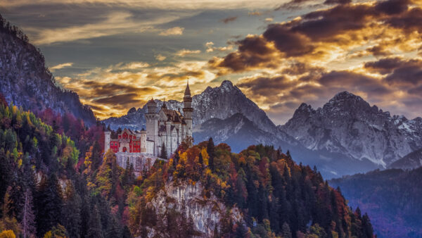Wallpaper Travel, Autumn, Germany, Trees, Colorful, Neuschwanstein, Mountains, Fairytale, Schwangau,, Castle