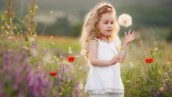 Wallpaper Dandelion, White, Wearing, Cute, Adorable, Blur, Background, Little, Standing, Dress, With, Girl