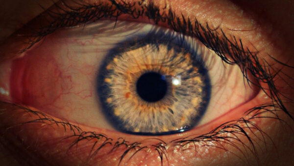 Wallpaper Black, Yellow, Evil, Eyelashes, View, Iris, Closeup, Eye
