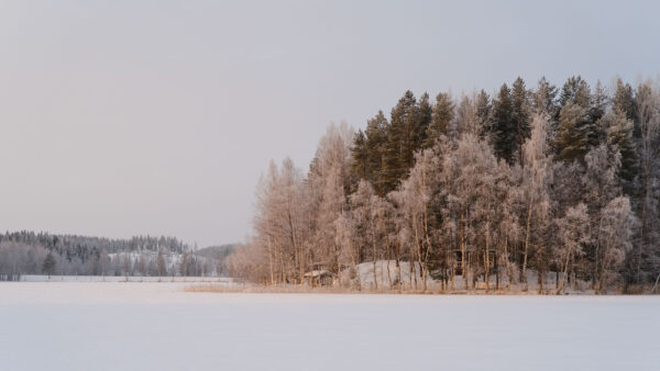 Wallpaper Landscape, View, White, Fog, Desktop, Blue, Forest, Field, Under, With, Clouds, Winter, Trees, Sky, Mobile, Snow