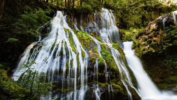 Wallpaper Green, Bushes, Stones, Algae, Nature, Background, Multiple, Rocks, Forest, Covered, Trees, Waterfalls