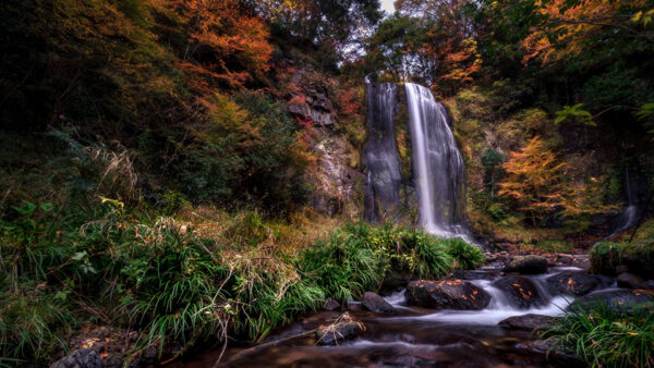 Wallpaper Covered, Green, Between, Bushes, Rocks, Water, Autumn, Grass, Waterfalls, Algae, Red, Stream, Trees, From, Yellow