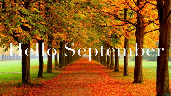 Wallpaper Trees, Hello, Background, Fall, Word, September, Autumn, Colorful