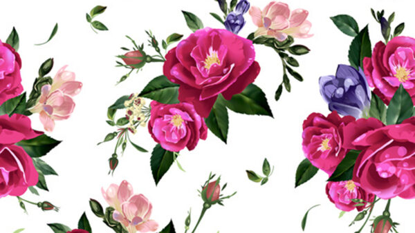 Wallpaper Vector, Pattern, Seamless, Floral, Roses