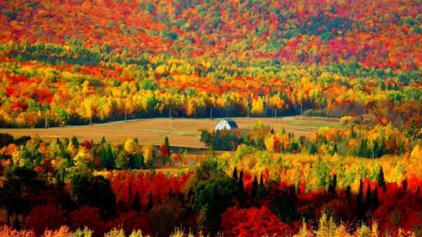 Wallpaper Landscape, Colorful, Beautiful, House, View, Trees, Autumn