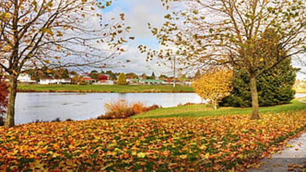 Wallpaper Trees, Green, Buildings, Rise, High, Daytime, Landscape, View, Autumn, River, During, Nature, Near