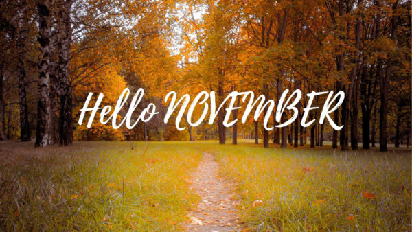Wallpaper Autumn, November, Trees, Hello, Field, Yellow, Leaves, Green, Grass