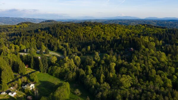 Wallpaper House, View, Mobile, Desktop, Road, Field, Mountains, Aerial, Trees, Grass, Forest, Bushes, Nature