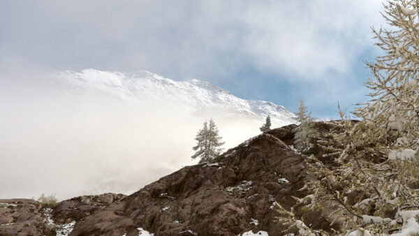 Wallpaper Snow, Capped, Rocks, Mountain, Landscape, Trees, Nature, View