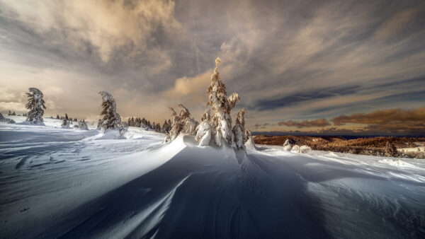 Wallpaper Under, Landscape, Desktop, Sky, Winter, White, With, Covered, Snow, Cloudy