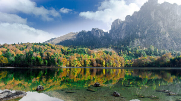 Wallpaper Reflection, Nature, And, Trees, Mobile, With, Mountains, Green, Desktop, Lake, Yellow, Landscape