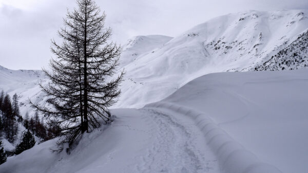 Wallpaper Desktop, Under, Cloudy, Mobile, Snow, Sky, White, Mountains, Nature, Path