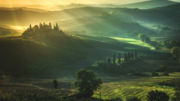 Wallpaper Fog, Hills, Nature, Desktop, Tuscany, Forest, Grass, Sunrays, Trees, With, Italy, Mountains, Bushes, Green, Mobile