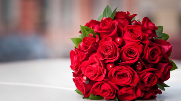 Wallpaper Red, Flowers, Roses, Background, Bouquet, Blur